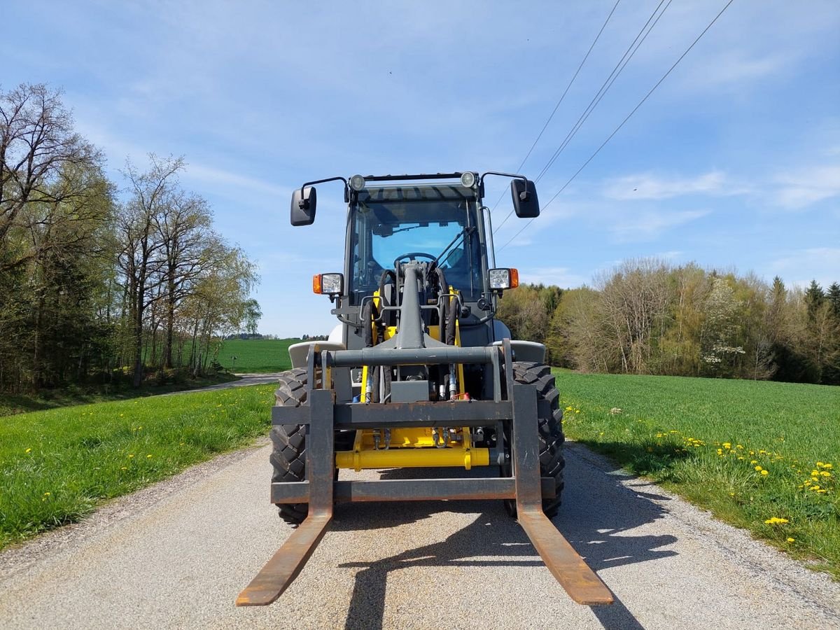 Kompaktlader Türe ait Sonstige Kramer Lader 5050, Gebrauchtmaschine içinde NATTERNBACH (resim 17)