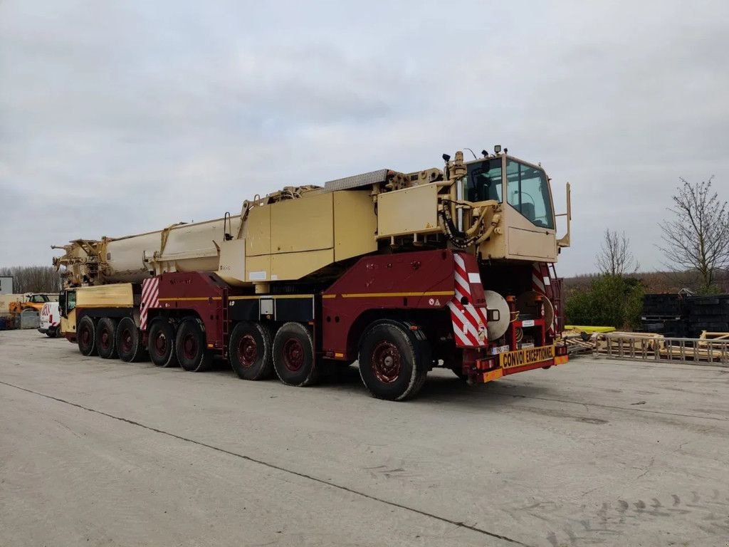 Kran a típus Terex AC500-2, Gebrauchtmaschine ekkor: Wevelgem (Kép 5)