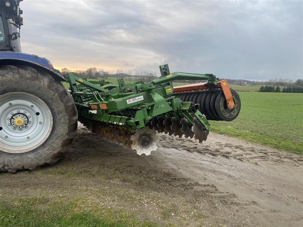 Kreiselegge typu Amazone CATROS 6000 Alle disc skiftet for 40 ha siden, Gebrauchtmaschine v Kjellerup (Obrázok 8)