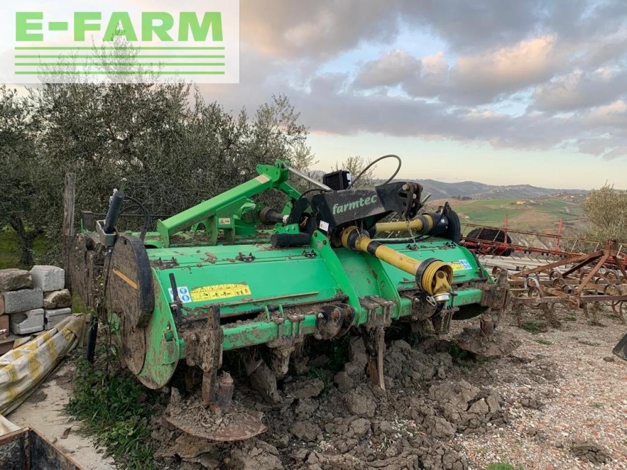 Kreiselegge van het type Farmtech Agri 300, Gebrauchtmaschine in FLUMERI (Foto 2)