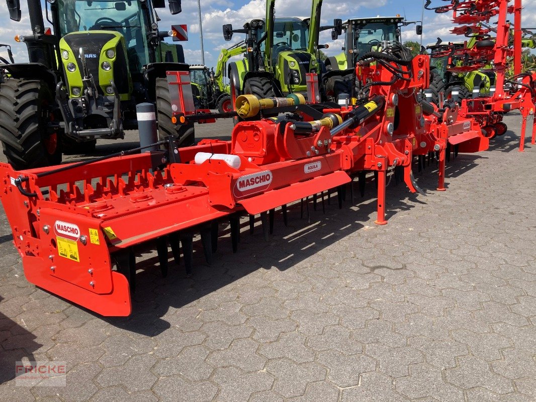 Kreiselegge des Typs Maschio Aquila Classic 6000, Neumaschine in Bockel - Gyhum (Bild 1)