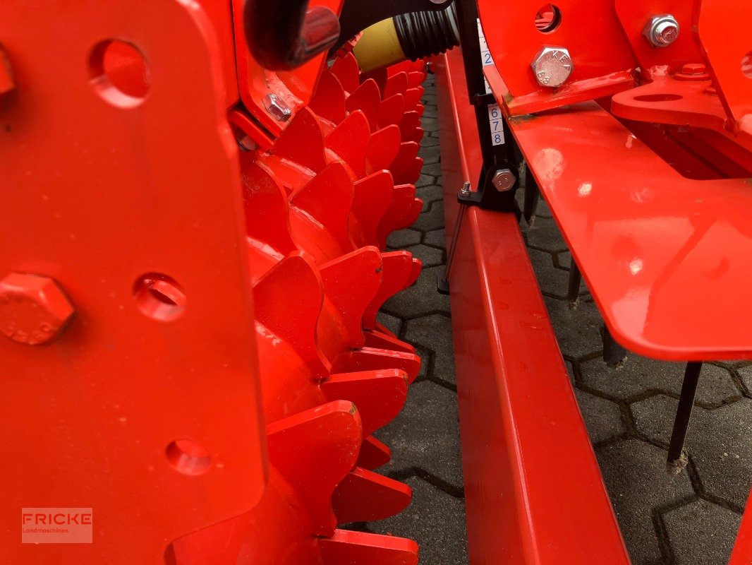 Kreiselegge van het type Maschio Aquila Rapido Plus 6000 Z500 mit Floating Kit, Neumaschine in Bockel - Gyhum (Foto 4)