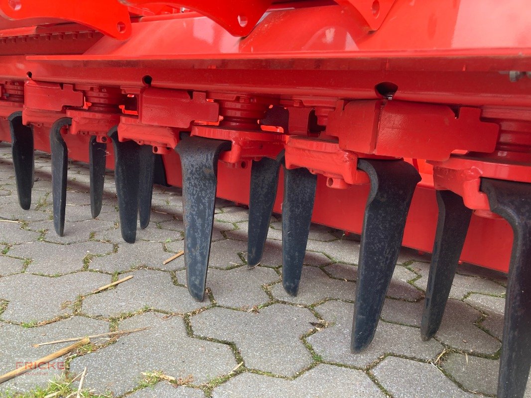 Kreiselegge van het type Maschio Aquila Rapido Plus 6000 Z500, Neumaschine in Bockel - Gyhum (Foto 8)