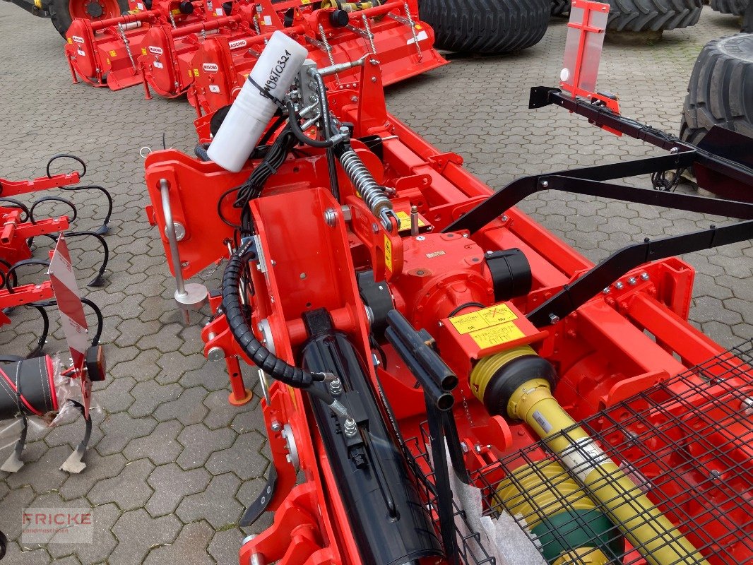 Kreiselegge van het type Maschio Aquila Rapido Plus 6000 Z500, Neumaschine in Bockel - Gyhum (Foto 10)