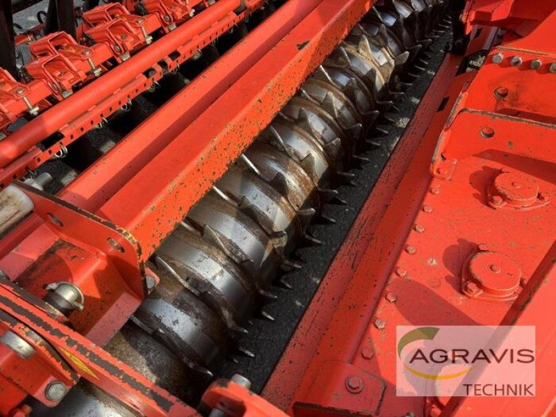 Kreiselegge del tipo Maschio DM 3000, Gebrauchtmaschine en Meppen (Imagen 5)