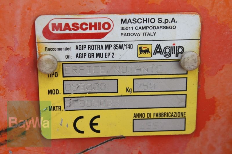 Kreiselegge tip Maschio DS 3000, Gebrauchtmaschine in Straubing (Poză 8)