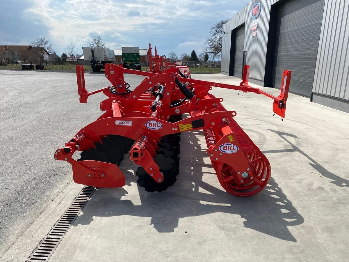 Kreiselegge del tipo Maschio Veloce 500 F Dachring walze, Neumaschine In Rovisce (Immagine 7)