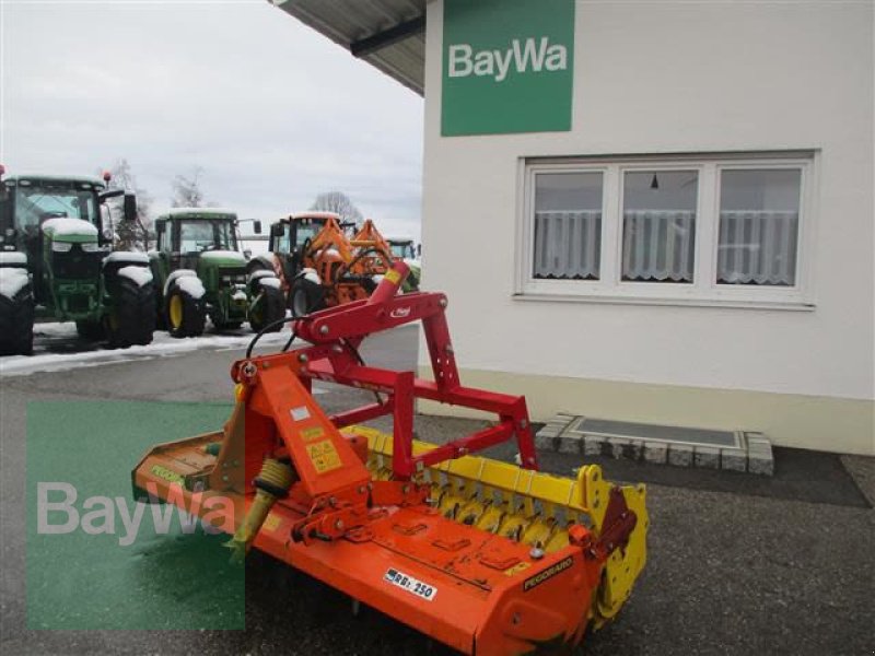 Kreiselegge typu Sonstige PEGORARO RB 250   #218, Gebrauchtmaschine w Schönau b.Tuntenhausen (Zdjęcie 5)