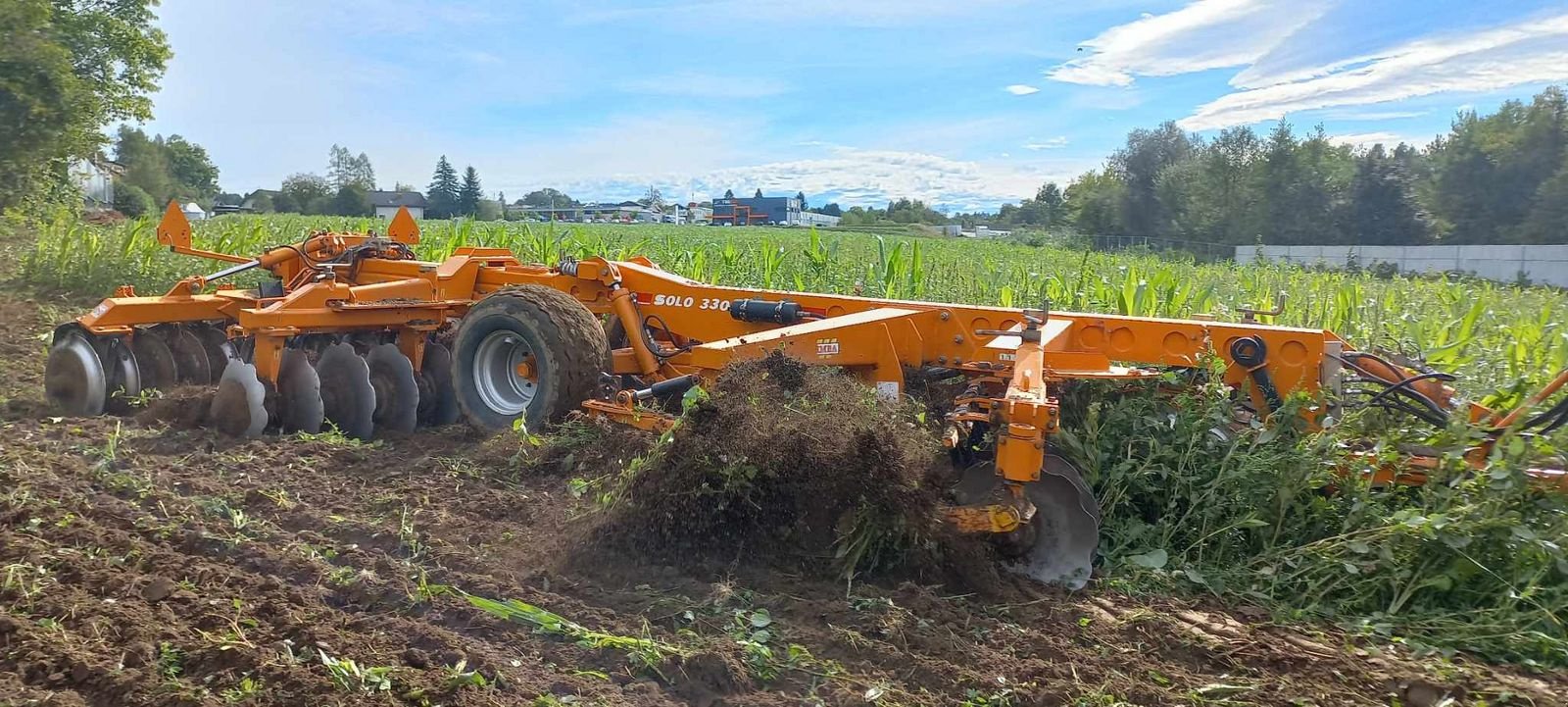 Kreiselegge Türe ait Sonstige SIMBA SOLO 330, Gebrauchtmaschine içinde Villach/Zauchen (resim 1)