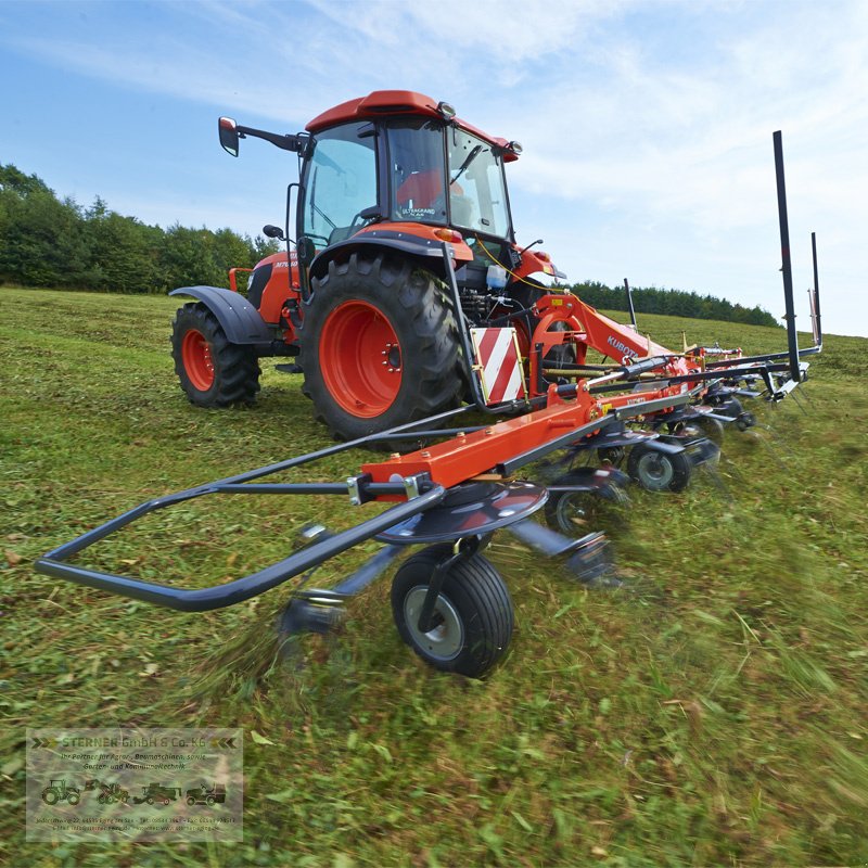 Kreiselheuer typu Kubota TE6060 Heuwender/ Kreiselheuer(Vicon Fanex 604), Neumaschine w Eging am See (Zdjęcie 4)