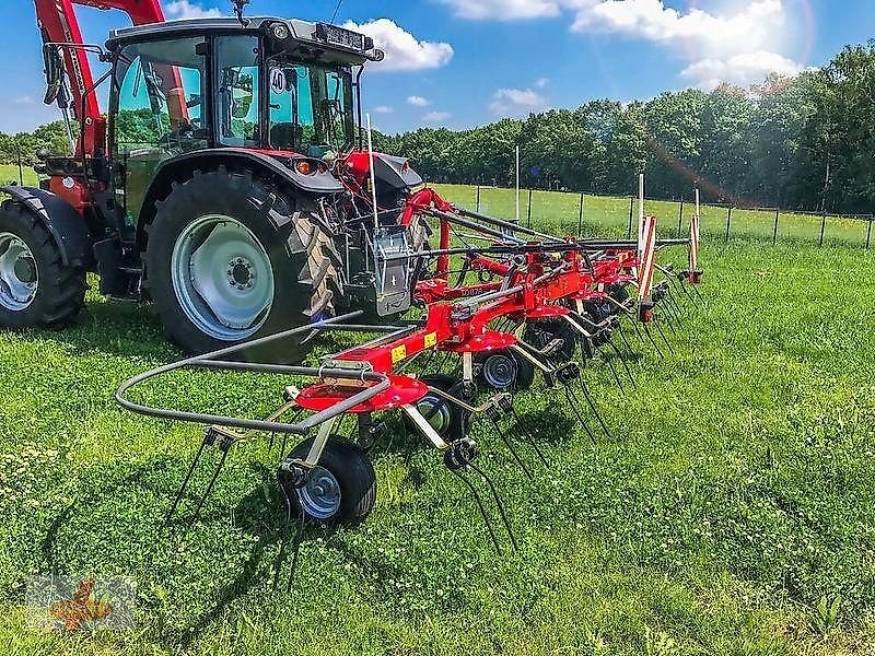 Kreiselheuer des Typs Massey Ferguson MF TD 676 DN / FELLA SANOS 6606 DN, Neumaschine in Oederan (Bild 3)