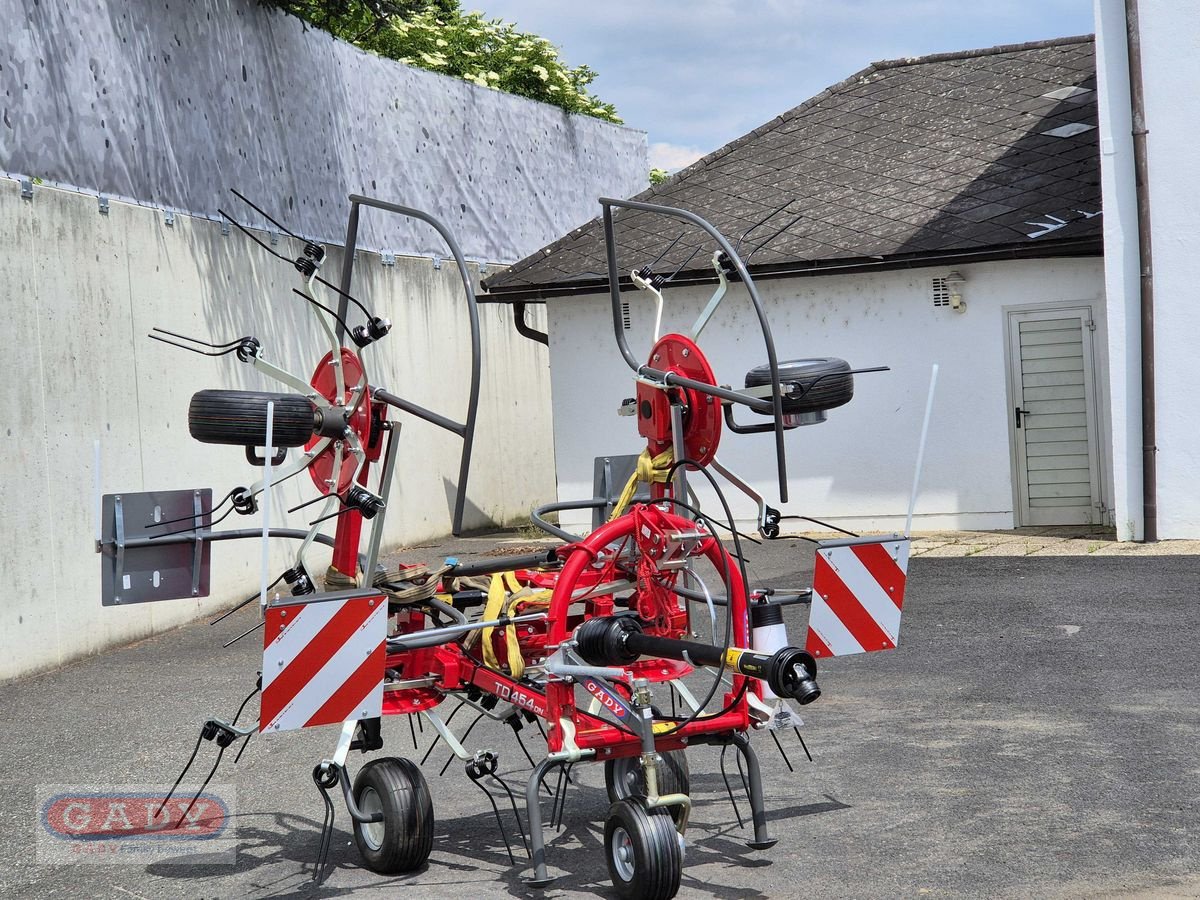 Kreiselheuer Türe ait Massey Ferguson TD 454 DN HEUWENDER, Neumaschine içinde Lebring (resim 4)