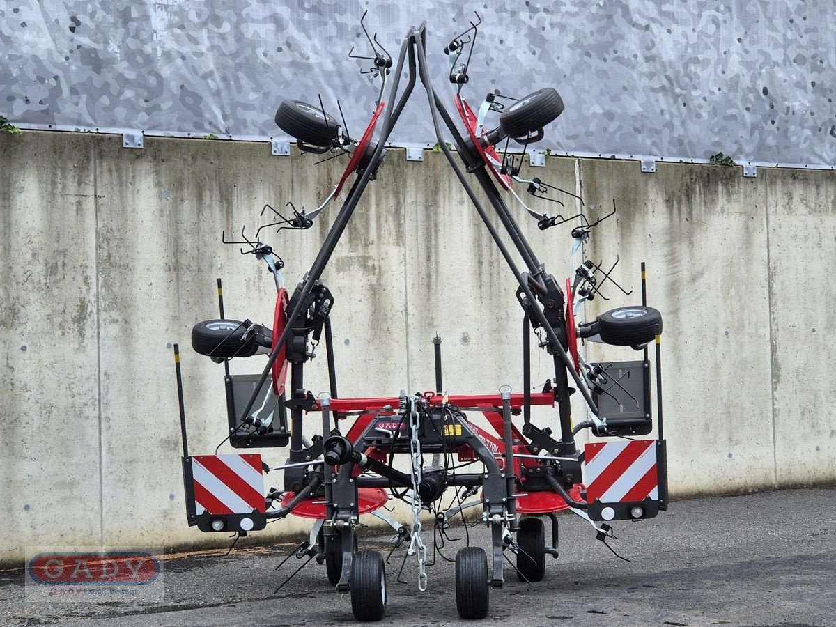 Kreiselheuer Türe ait Massey Ferguson TD 776X DN KREISELHEUER, Vorführmaschine içinde Lebring (resim 3)