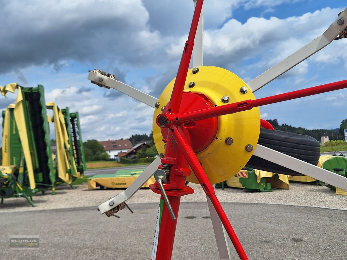 Kreiselheuer typu Pöttinger Hit 54 N, Gebrauchtmaschine w Gampern (Zdjęcie 10)