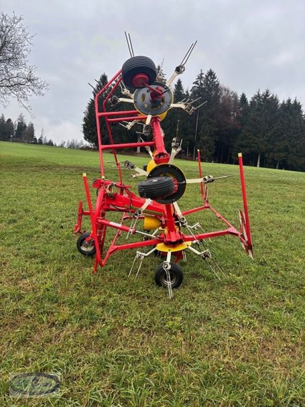 Kreiselheuer of the type Pöttinger Hit 61 N, Gebrauchtmaschine in Münzkirchen (Picture 8)