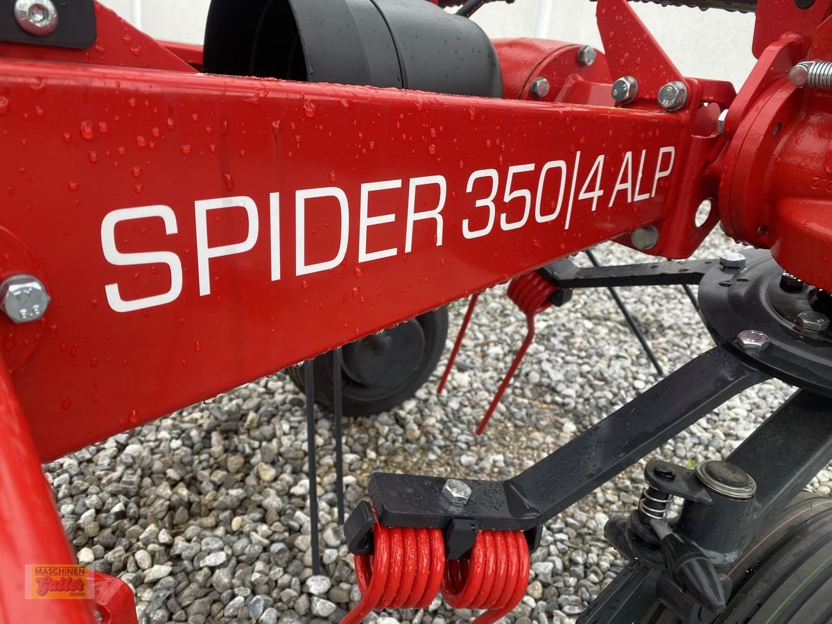 Kreiselheuer Türe ait SIP Spider 350/4 Alp Hydro, Neumaschine içinde Kötschach (resim 18)