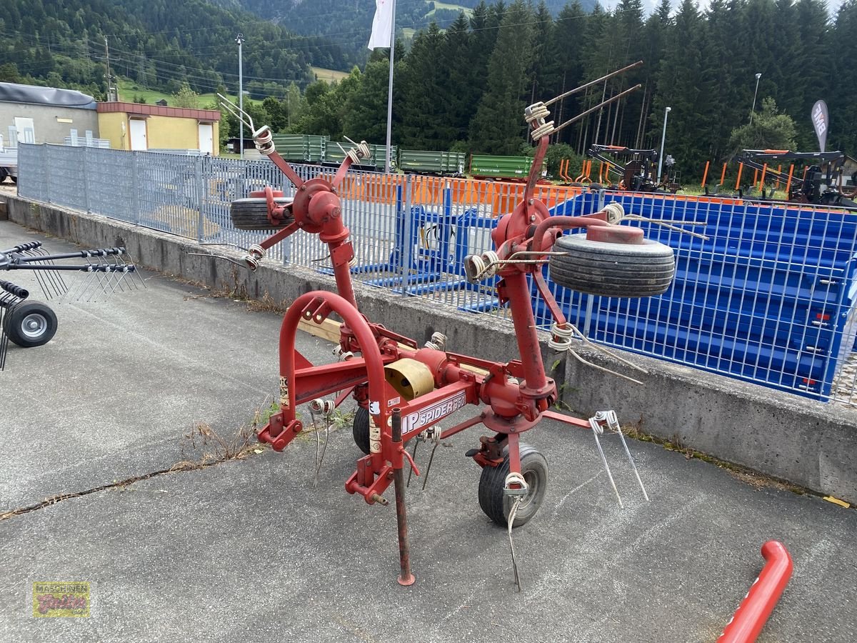 Kreiselheuer tip SIP Spider 350 mechanisch, Gebrauchtmaschine in Kötschach (Poză 7)
