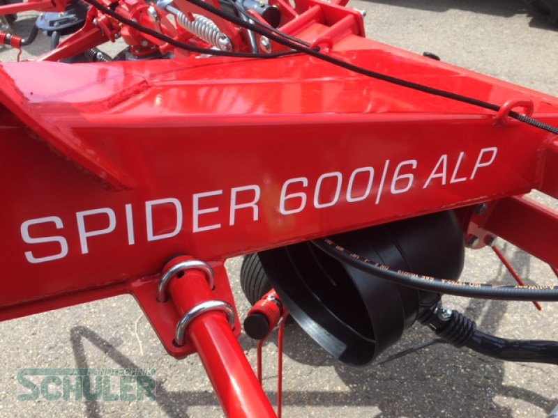 Kreiselheuer des Typs SIP Spider 600/6 ALP, Neumaschine in St. Märgen (Bild 14)