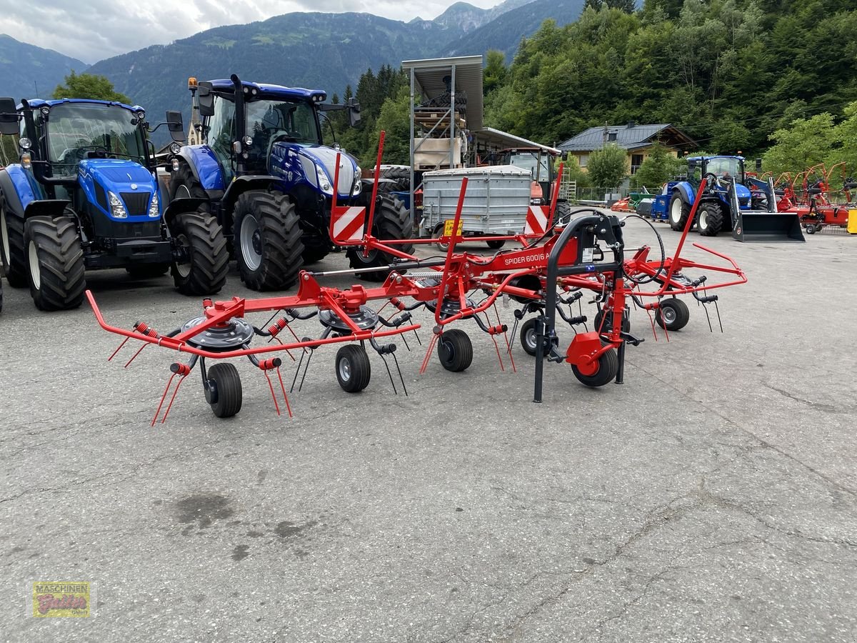 Kreiselheuer van het type SIP Spider 600/6 Alp, Neumaschine in Kötschach (Foto 21)