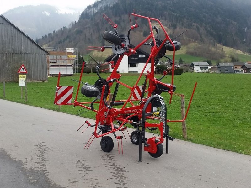 Kreiselheuer van het type SIP Spider 600 Alpin, Neumaschine in Bezau (Foto 1)