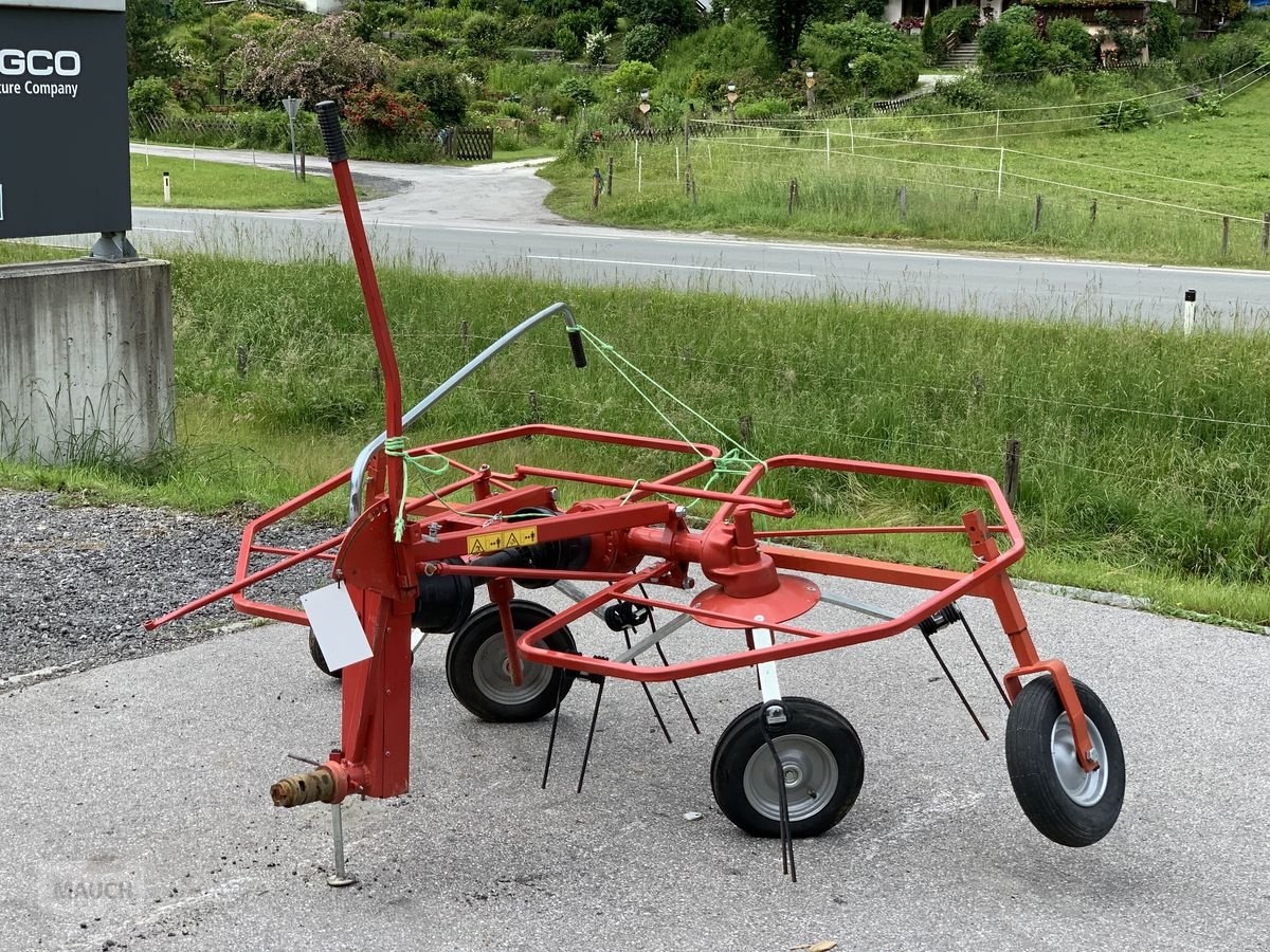 Kreiselheuer типа Sonstige Molon Heuer zu Motormäher, Gebrauchtmaschine в Eben (Фотография 1)