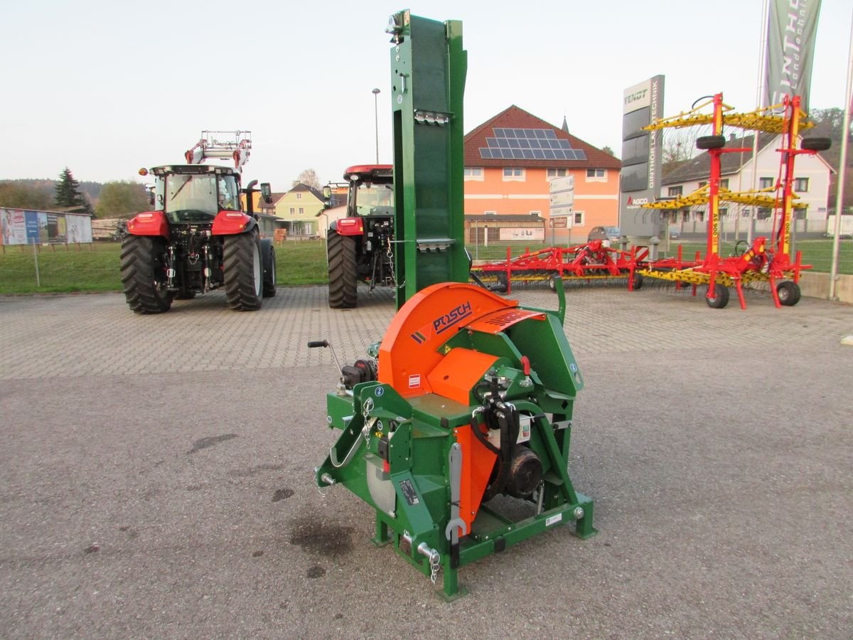 Kreissäge & Wippsäge tip Posch Wippsäge mit Förderband, Gebrauchtmaschine in Saxen (Poză 2)