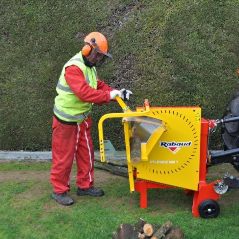 Kreissäge & Wippsäge del tipo Rabaud Xyloscie 600T, Gebrauchtmaschine In LA SOUTERRAINE (Immagine 2)