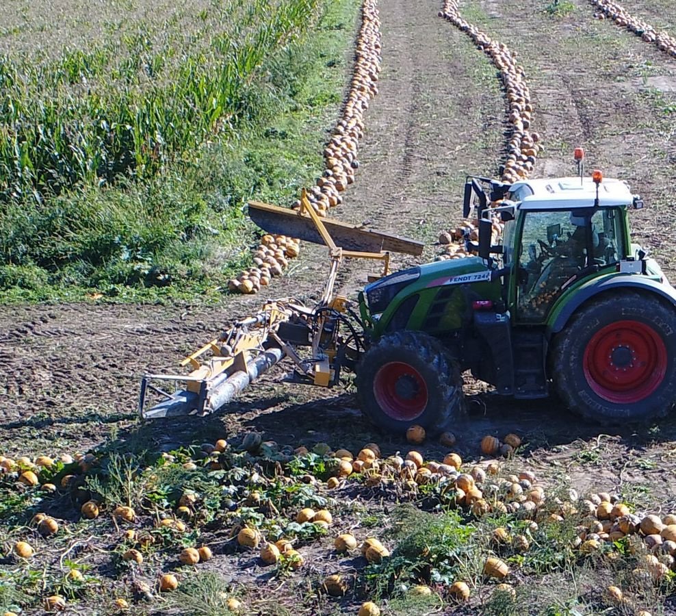 Kürbiskernerntemaschine tipa AGRO-STAHL Kürbisschieber PREMIUM, Neumaschine u Wundschuh (Slika 3)