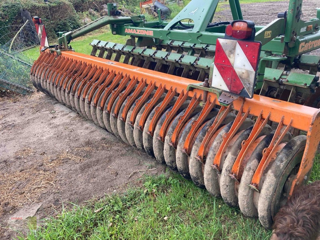 Kurzscheibenegge van het type Amazone-BBG Catros 4000 Starr, Gebrauchtmaschine in Sörup (Foto 6)