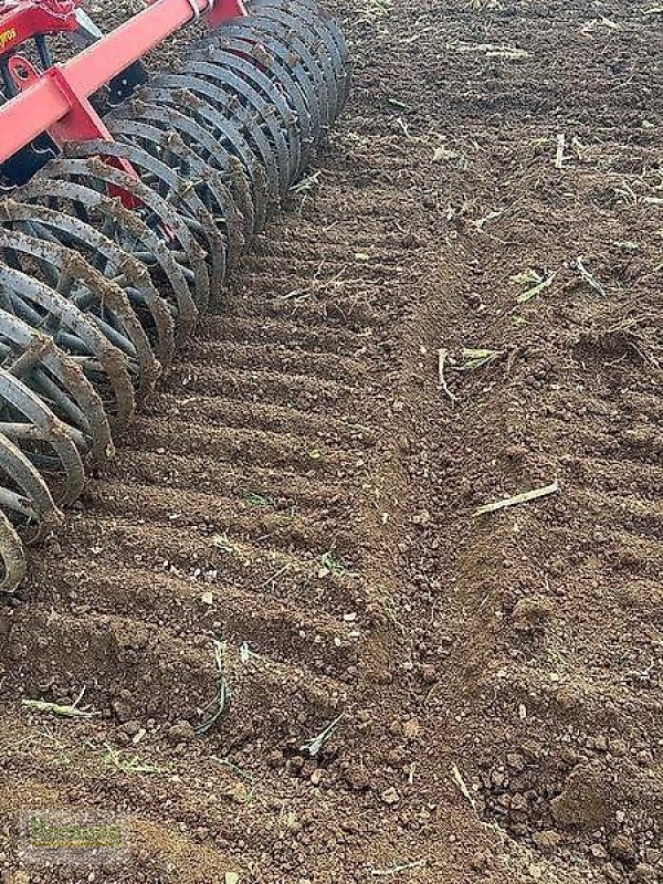 Kurzscheibenegge tip Evers JE 300 / VARIO, Gebrauchtmaschine in Unterschneidheim-Zöbingen (Poză 9)