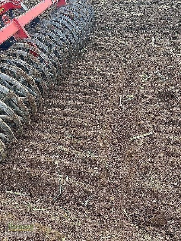 Kurzscheibenegge van het type Evers JE 300 / VARIO, Vorführmaschine in Unterschneidheim-Zöbingen (Foto 9)