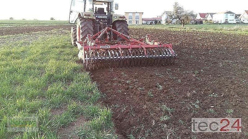 Kurzscheibenegge Türe ait Evers ORLOV  SK 4, Gebrauchtmaschine içinde Unterschneidheim-Zöbingen (resim 11)