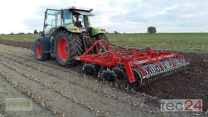 Kurzscheibenegge a típus Evers ORLOV  SK 4, Gebrauchtmaschine ekkor: Unterschneidheim-Zöbingen (Kép 9)