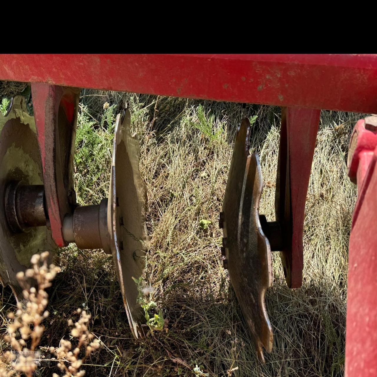 Kurzscheibenegge typu Horsch Joker 8 RT, Gebrauchtmaschine v Pragsdorf (Obrázek 5)