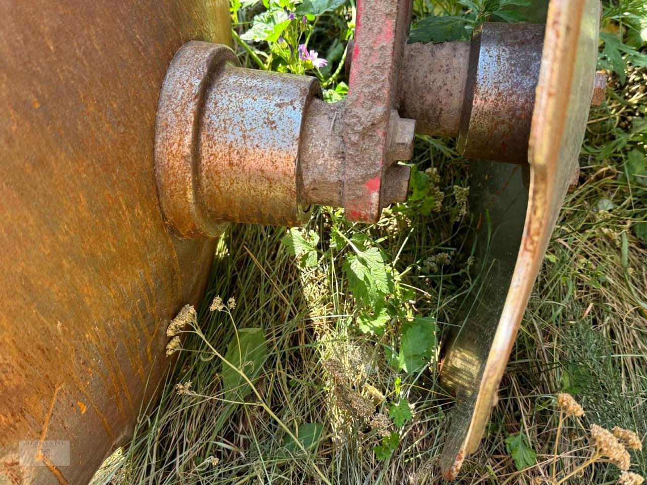 Kurzscheibenegge del tipo Horsch Joker 8 RT, Gebrauchtmaschine en Pragsdorf (Imagen 6)