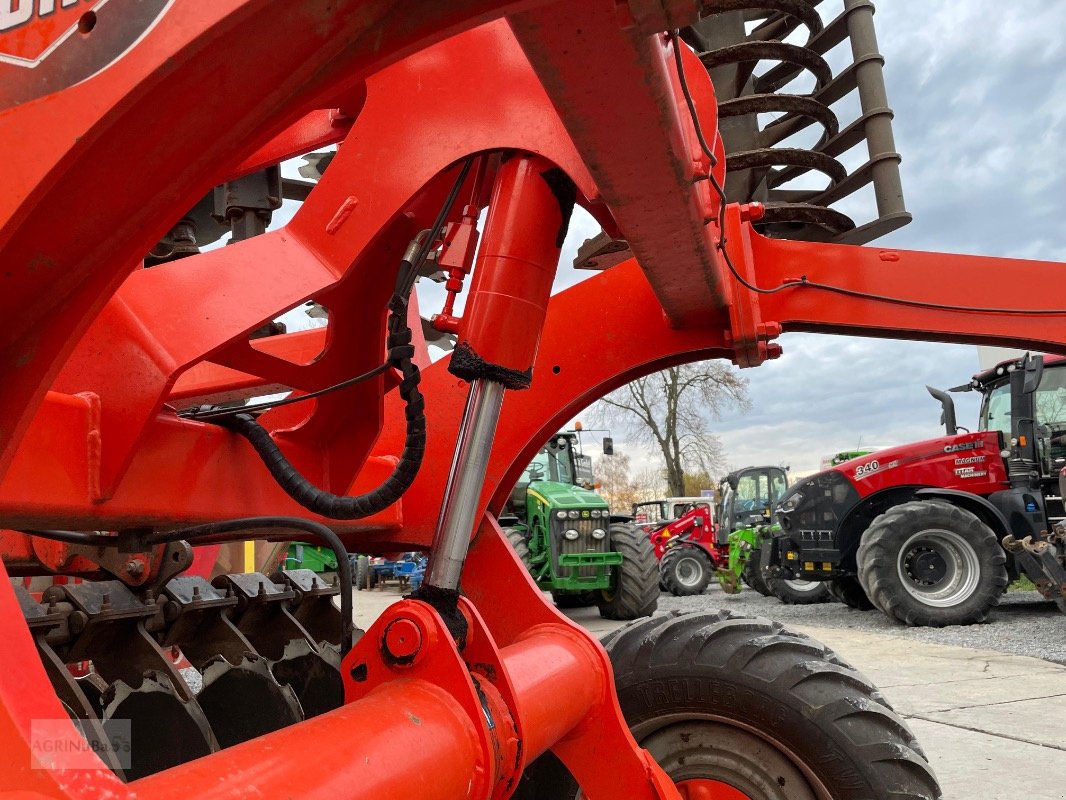 Kurzscheibenegge del tipo Kuhn Optimer 5003, Gebrauchtmaschine In Prenzlau (Immagine 11)