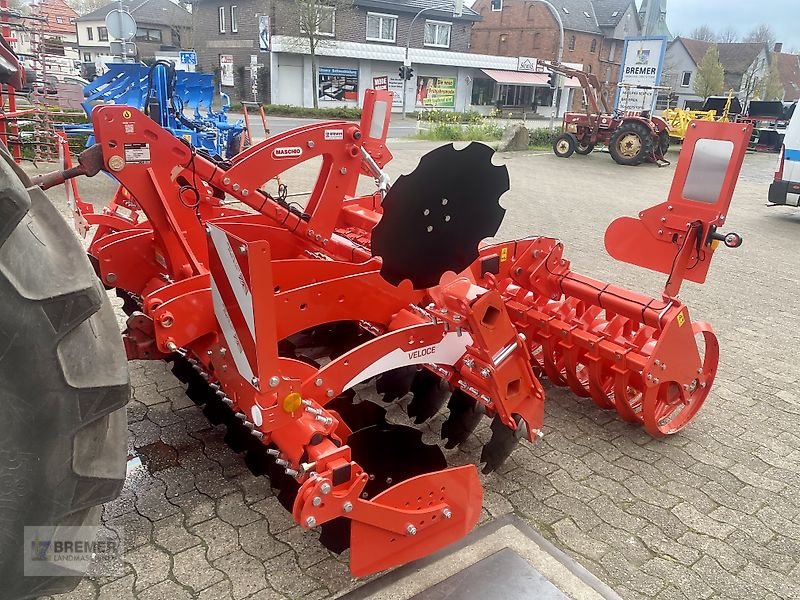 Kurzscheibenegge van het type Maschio VELOCE 300 + Dachringwalze, Gebrauchtmaschine in Asendorf (Foto 4)