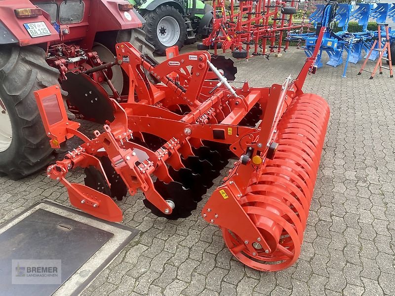 Kurzscheibenegge des Typs Maschio VELOCE 300 + Dachringwalze, Gebrauchtmaschine in Asendorf (Bild 3)