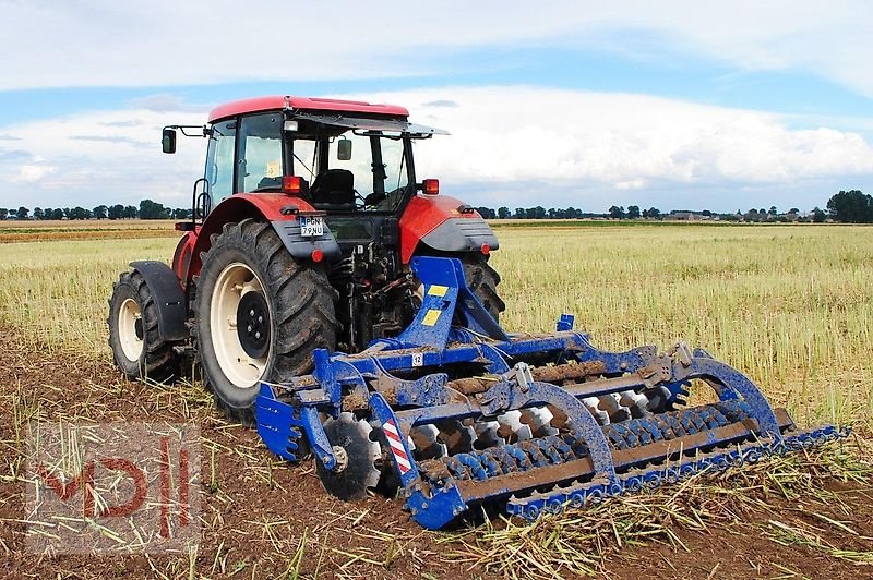 Kurzscheibenegge del tipo MD Landmaschinen Rolmako Leichte Scheibenegge 2,7m, 3,0m, 3,5m, 4,0m, Neumaschine en Zeven (Imagen 11)