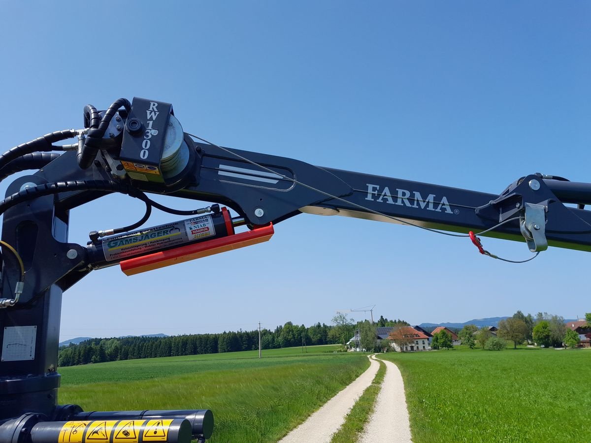 Ladekrane & Rückezange от тип Farma C 6,3 D, Neumaschine в Gosau am Dachstein (Снимка 6)