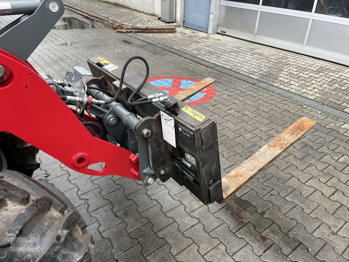 Ladeschaufel tip Sonstige Staplergabel hydraulische Zinkenverstellung, Gebrauchtmaschine in Burgkirchen (Poză 4)