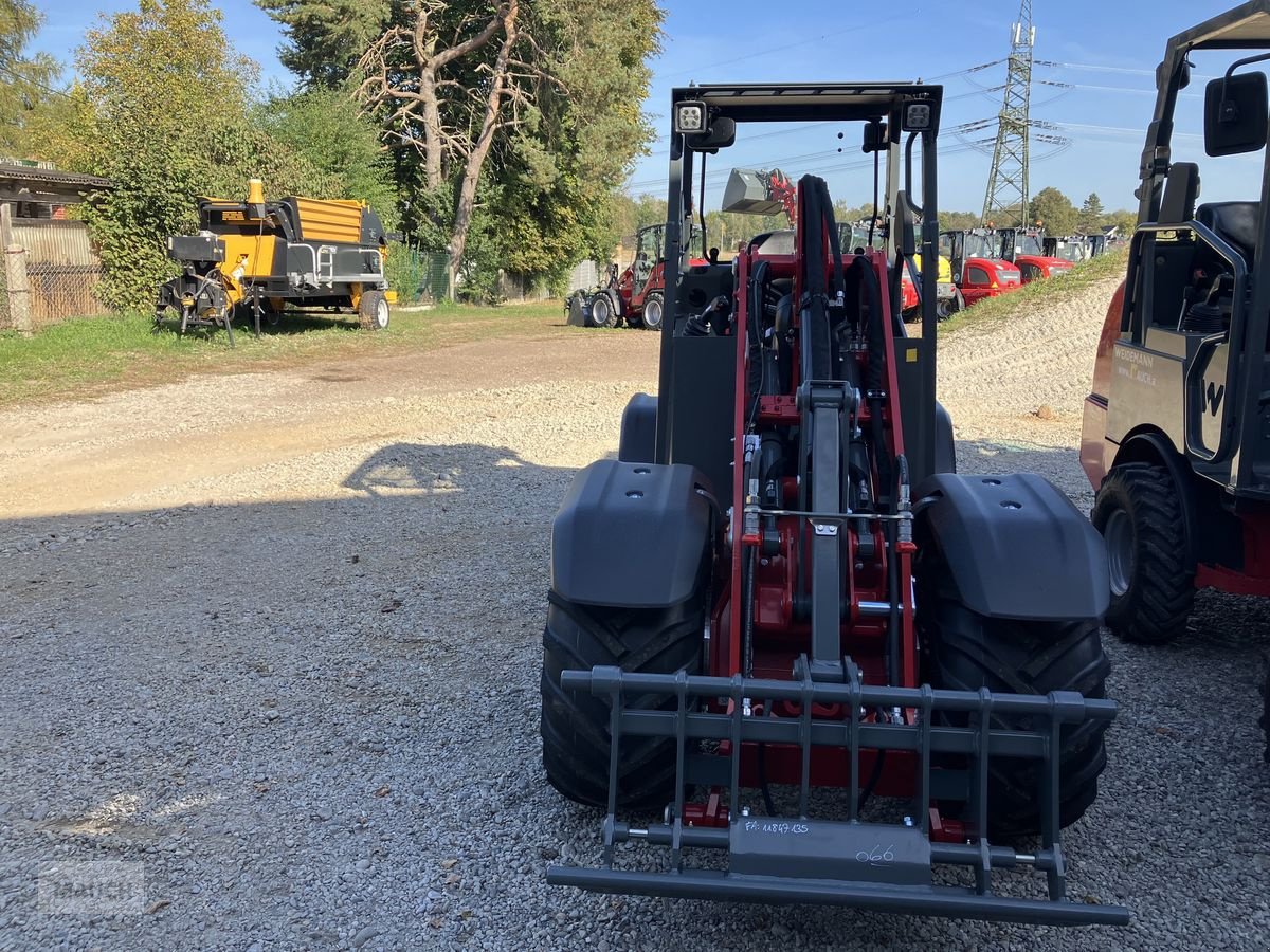 Ladeschaufel del tipo Weidemann  1260 LP unter 2m Bauhöhe, Neumaschine In Burgkirchen (Immagine 5)