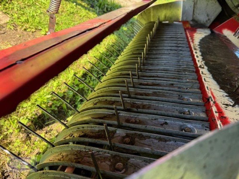 Ladewagen typu Gruber Eurostarr 35, Gebrauchtmaschine v Münzkirchen (Obrázek 17)