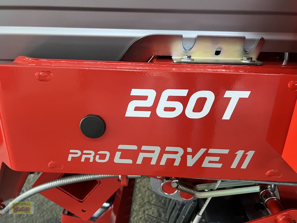 Ladewagen от тип Gruber Pro Alp 260 T   ProCarve11, Neumaschine в Kötschach (Снимка 17)