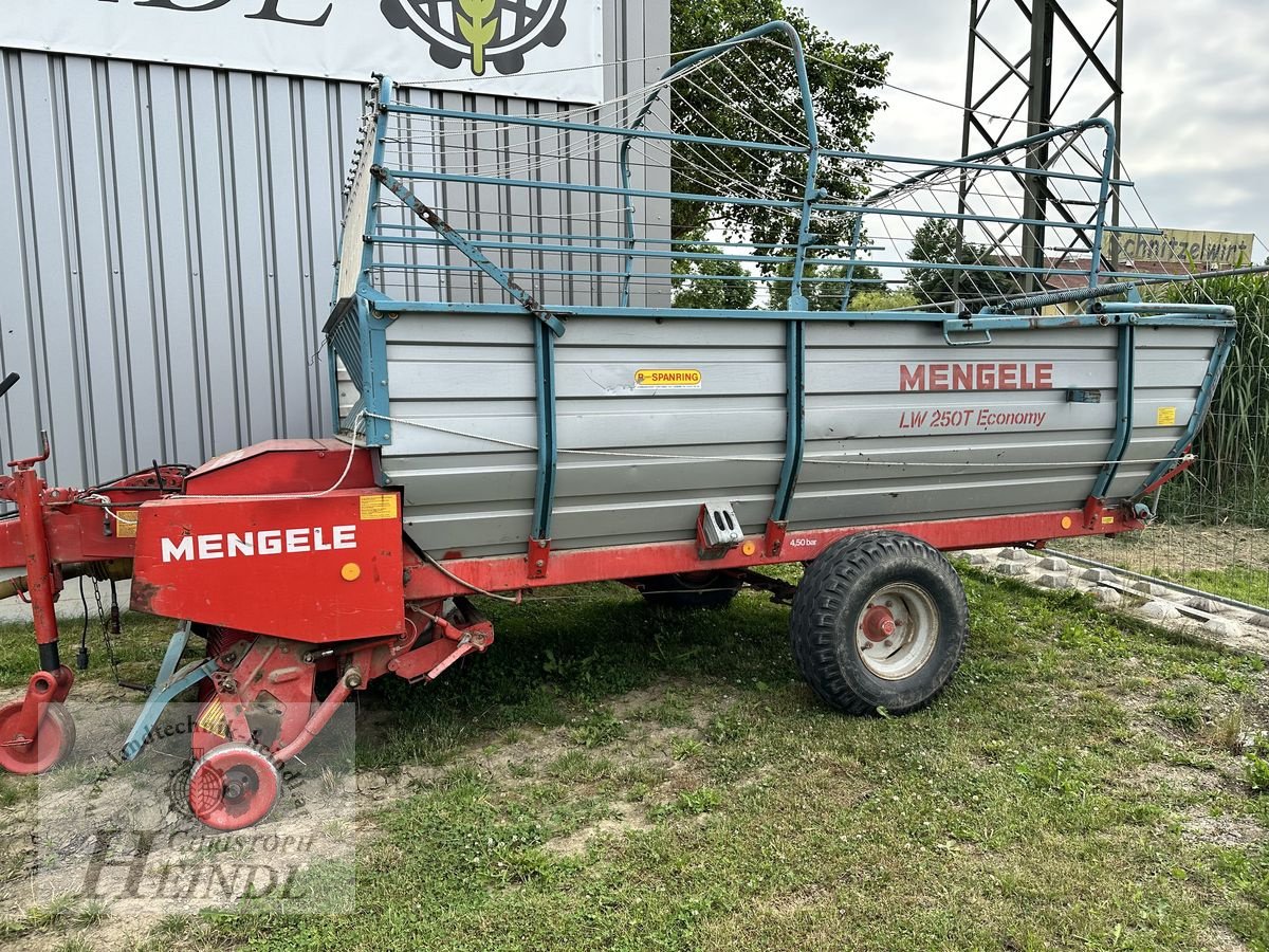 Ladewagen του τύπου Mengele LW 250T, Gebrauchtmaschine σε Stephanshart (Φωτογραφία 10)