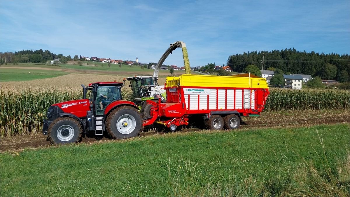 Ladewagen del tipo Pöttinger Europrofi 5010D Combiline, Gebrauchtmaschine In Traberg (Immagine 1)