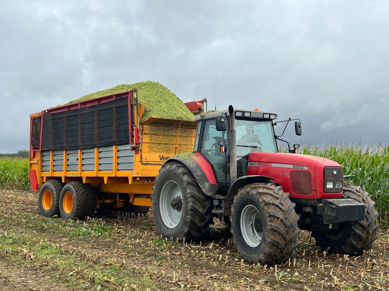 Ladewagen typu Veenhuis VSW2040, Gebrauchtmaschine v Hardinxveld-Giessendam (Obrázek 6)