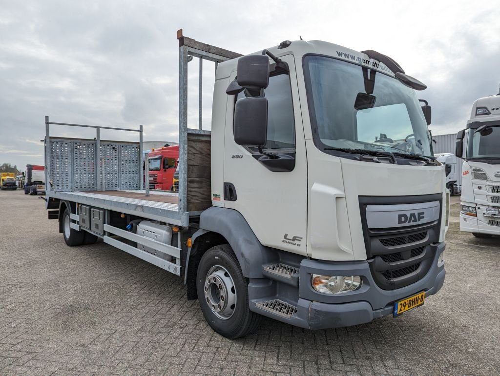 LKW Türe ait DAF FA LF250 4x2 Daycab 6cil Euro6 - Oprijwagen - Hydraulische Verst, Gebrauchtmaschine içinde Oud Gastel (resim 3)