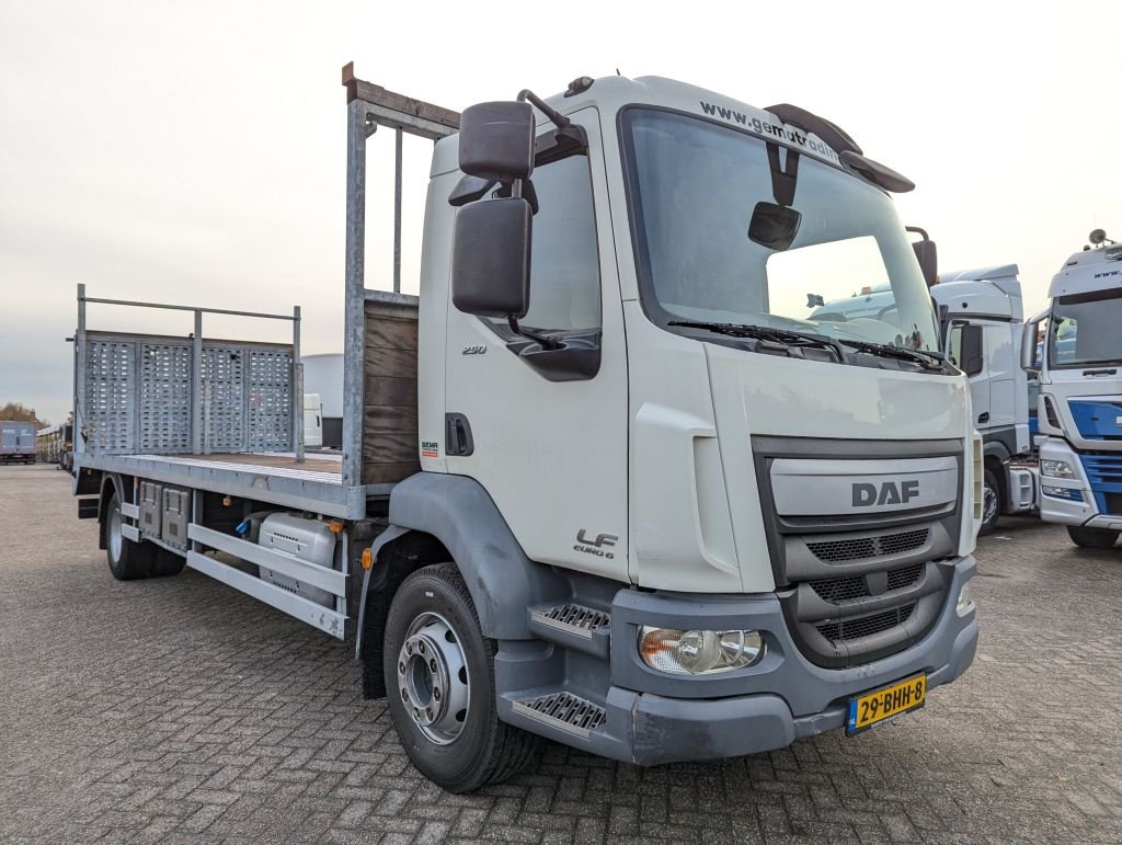 LKW типа DAF FA LF250 4x2 Daycab 6cil Euro6 - Oprijwagen - Hydraulische Verst, Gebrauchtmaschine в Oud Gastel (Фотография 5)