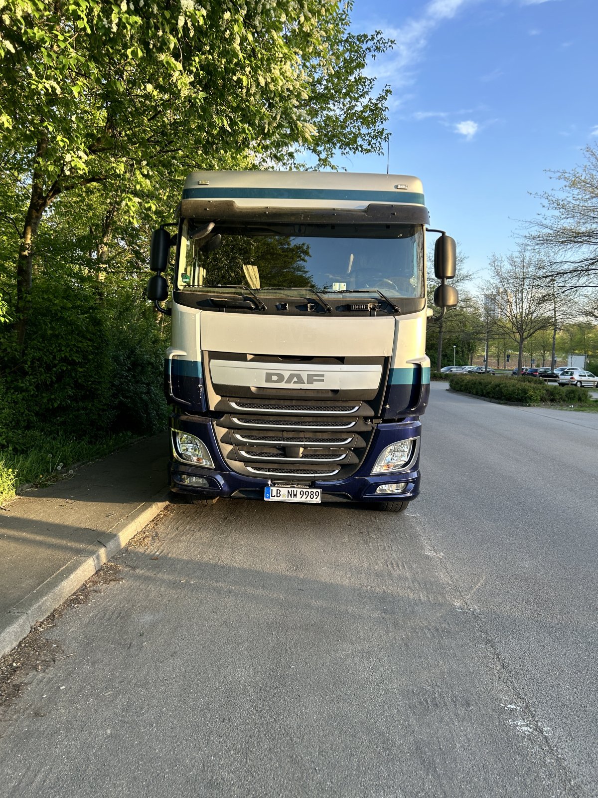 LKW типа DAF XF 106 460 Walkingfloor Schubboden Agrotruck, Gebrauchtmaschine в Freiberg am Neckar (Фотография 4)